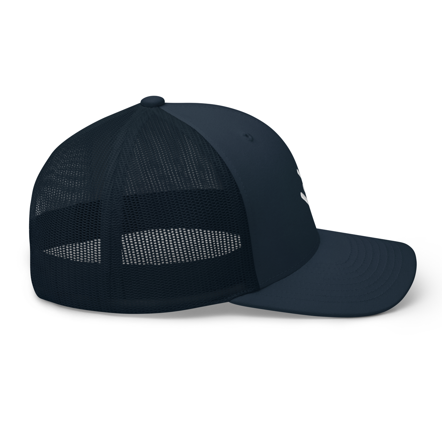 Comet Hat