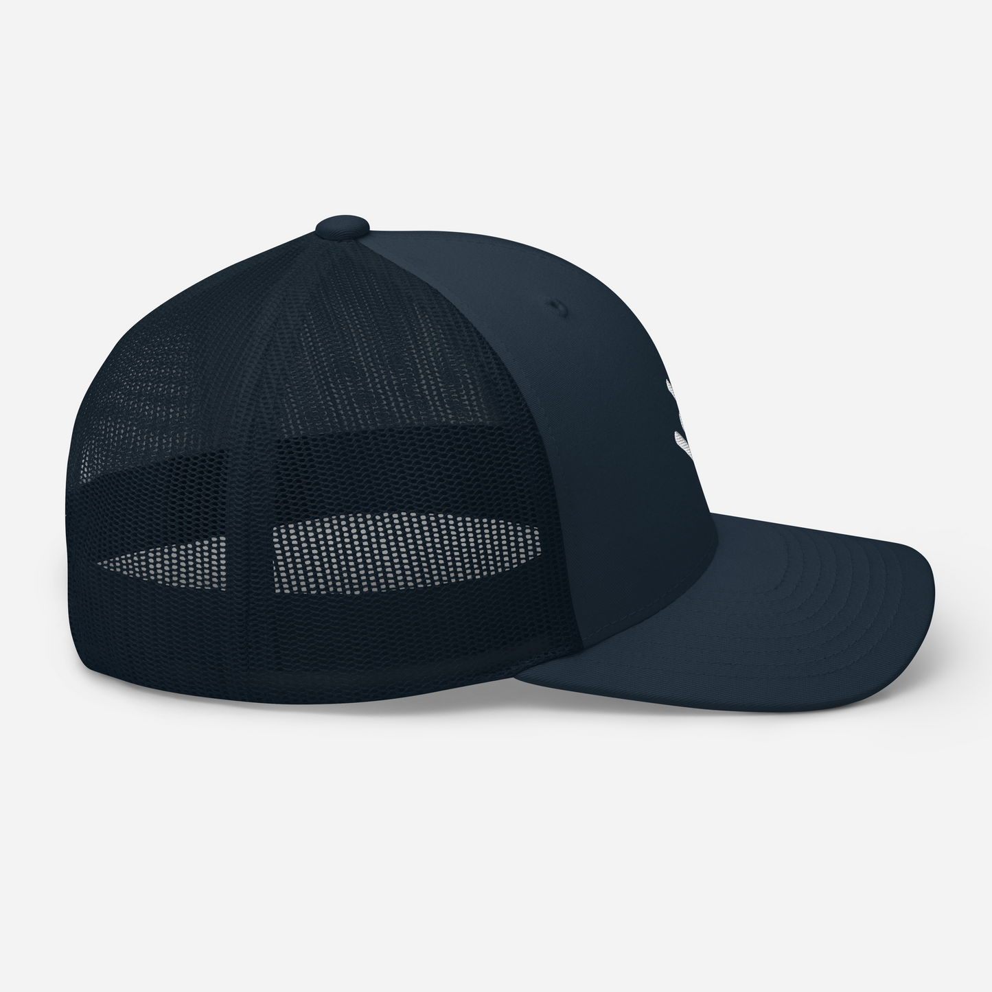 Comet Hat